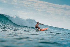surf-planche-terrysurfboards